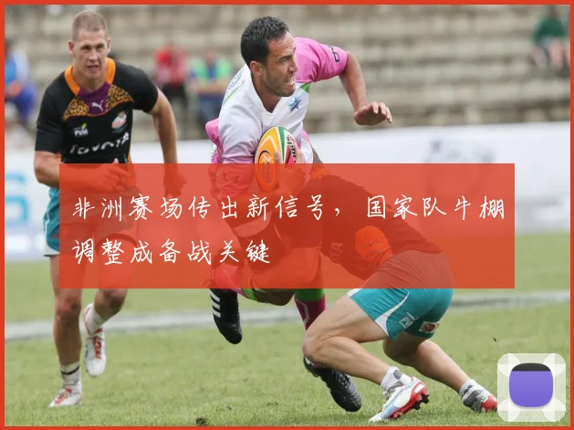 非洲赛场传出新信号，国家队牛棚调整成备战关键