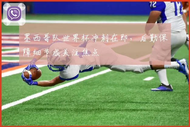 墨西哥队世界杯冲刺在即，后勤保障细节成关注焦点