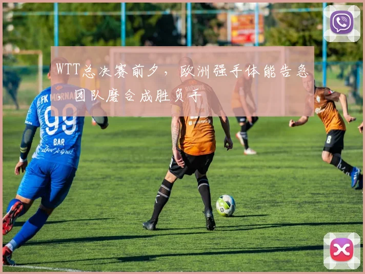 WTT总决赛前夕，欧洲强手体能告急，团队磨合成胜负手