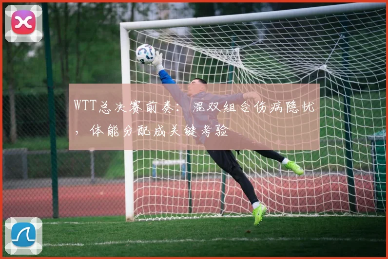 WTT总决赛前奏：混双组合伤病隐忧，体能分配成关键考验