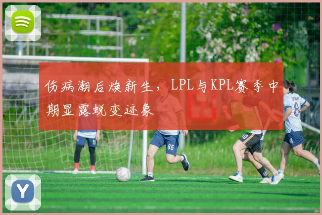 伤病潮后焕新生，LPL与KPL赛季中期显露蜕变迹象